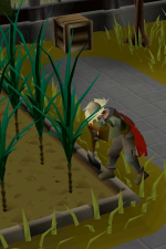 Screenshot #8 - Old School RuneScape