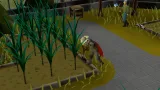 Screenshot #8 - Old School RuneScape