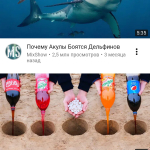 Screenshot #2 - VIDEODER 14.4.2