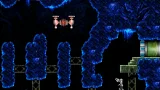 Screenshot #2 - Ex Vitro