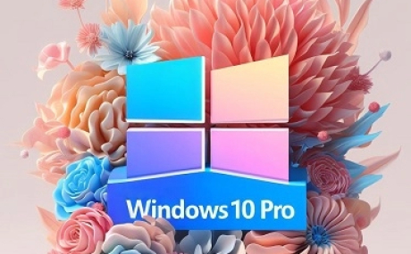 Windows 10 Pro (x64) +/- Office 2021 by xCOrei2 [11.2023]