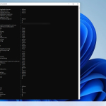 Screenshot #4 - Windows 11 Pro 21H2 22000.795 x64 by SanLex [Universal]
