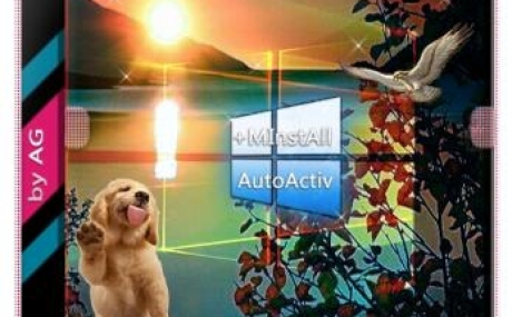 Windows 10 Enterprise LTSC WPI by AG 08.2019 [17763.720]