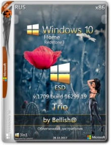 Windows 10 Home 1709 (16299.19) x86 Russian
