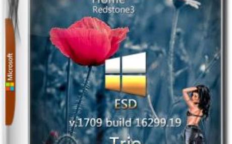 Windows 10 Home 1709 (16299.19) x86 Russian