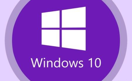 Windows 10 1909 18363.449 (66in1) Sergei Strelec x86/x64