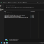 Screenshot #8 - Windows 11 16in1 +/- Office 2019 с лаунчером 2023.12.02