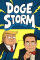Doge Storm
