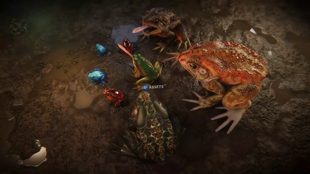 Screenshot #4 - Frogs pack