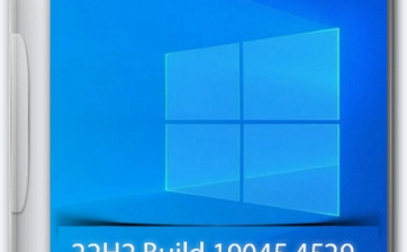 Windows 10 Pro 22H2 Build 19045.4529 Full June 2024