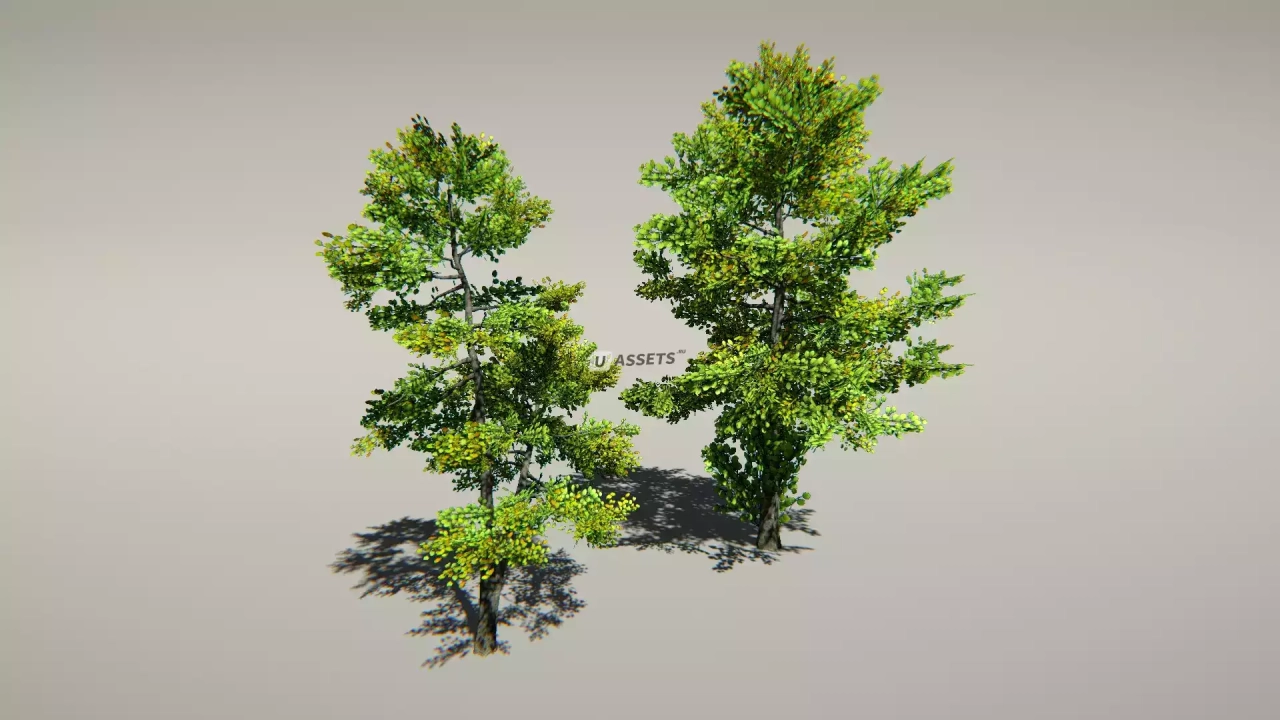 Screenshot #1 - Animated Trees Package