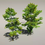 Screenshot #1 - Animated Trees Package