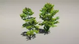Screenshot #1 - Animated Trees Package