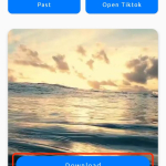 Screenshot #2 - GETVIDEO – СКАЧАТЬ ВИДЕО ИЗ TIKTOK 1.6.6