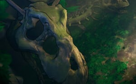 Nine Treasures of Liuyin