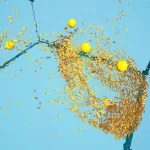 Screenshot #3 - Advanced Flock System – Multithreaded Fish AI and Reactive School Behavior UE5.5  v1.3.7