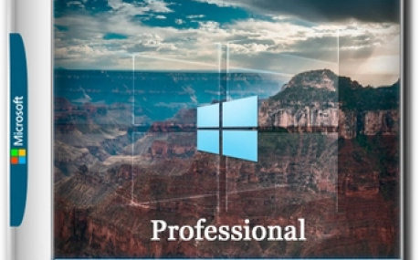 Windows 10 Optima Pro 22H2 19045.5737 x64