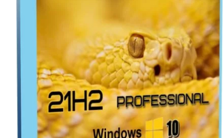 Windows 10 Professional [21H2 Build 19044.1320] (x64) by Tatata