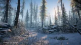Screenshot #2 - Winter Environment - Nature Pack