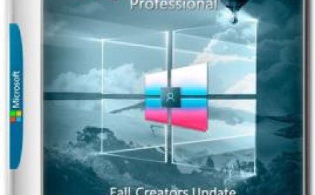 Windows 10 Professional v.1709 build 12699.19 (x64)