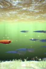 Screenshot #2 - Evotales