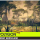 POLYGON Swamp Marshland - Nature Biomes - Low Poly 3D Art by Synty