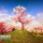 Broccoli Tree Creator