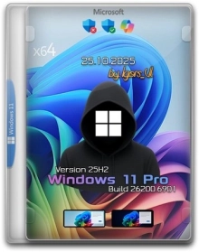 Windows 11 Pro 25H2 Build 26200.6901 by Igors_VL
