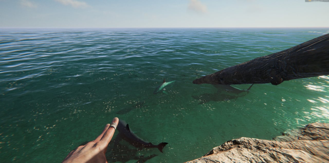Screenshot #7 - Project Castaway