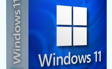 Windows 11 22H2 Pro для инсайдеров 22623.885 by WebUser