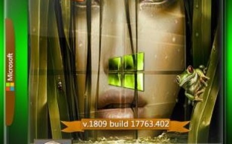 Windows 10 RS5 v.1809 With Update (17763.402) IZUAL (esd) Аnniversary