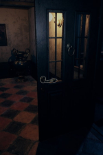 Screenshot #6 - The Cursed Legacy