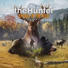 the Hunter: Call of the Wild : +11 трейнер
