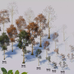 Screenshot #4 - Seasonal Forest