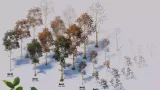 Screenshot #4 - Seasonal Forest