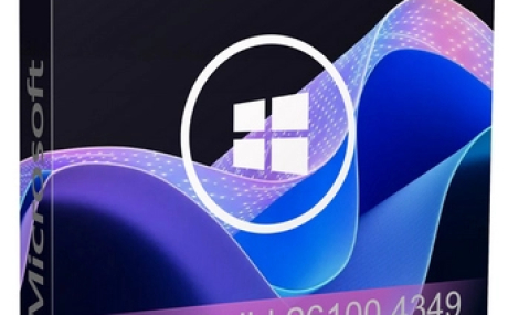 Windows 11 Pro 24H2 build 26100.4349 Lite