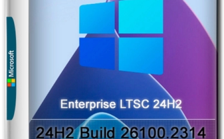 Windows 11 LTSC 24H2 Build 26100.2314 Stable