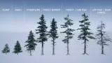Screenshot #1 - Mountain Trees - Dynamic Nature