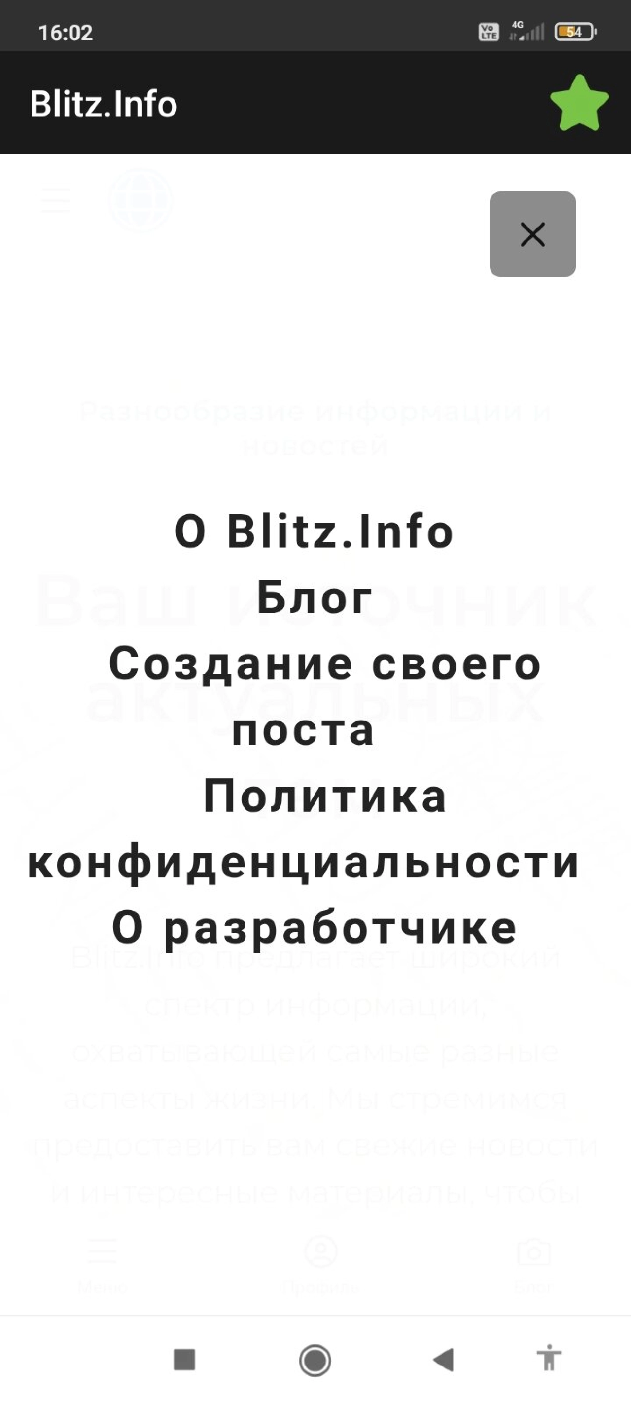 Screenshot #2 - BLITZ.INFO