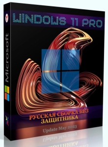 Windows 11 Pro 22H2 22621.1702 Stable by WebUser