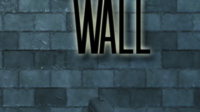 Shoot The Wall