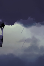 Screenshot #4 - Koira