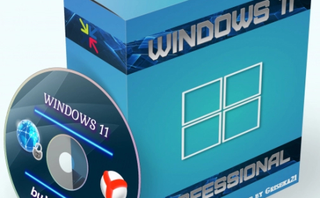 Windows 11 Pro Optima + OpenVpn by WebUser v6