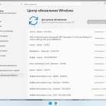 Screenshot #4 - Windows 11 24H2 Enterprise LTSC 26100.6899 by Rsload