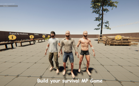 Survival Template Pro MP — Multiplayer Survival System for Unity (Netick Networking)