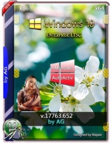 Windows 10 Enterprise LTSC WPI by AG 07.2019 [17763.652]