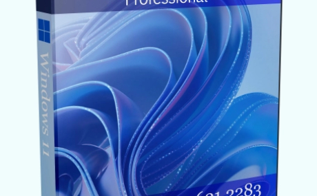 Windows 11 Pro 22H2 Build 22621.2283 Full September 2023