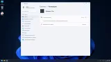 Screenshot #4 - Windows 11 Pro Stable Version 23H2 [22631.3447] Русская