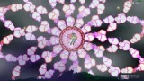 Screenshot #8 - Halluci-Sabbat of Koishi