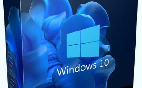 Windows 10 Pro X-Lite 'Optimum 10' v4.11 (19045.3633)